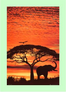 tablou african sunset